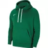 Vīriešu Nike Team Club 20 kapuce Pine Green