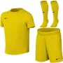 Nike Dri-FIT Park VIII Bērnu futbola komplekts Dzeltens HV8260 719 XL