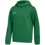 Nike Park 26 Fleece Hoodie Bērniem Zaļš L