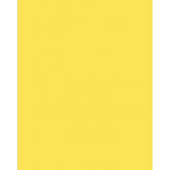 Folia 614/50 12 Dzeltens A4 kartons 300 g/m² 50 loksnes