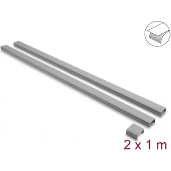 Delock pašlīmējošs kabeļu kanāls ar bīdāmu vāku 30 x 14 mm, ietver savienotāju, 1 m, 2 iepakojums, pelēks