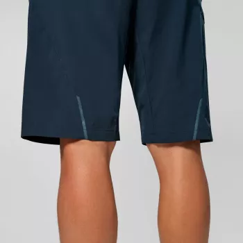Salewa Pedroc 4 DST Cargo šorti vīriešiem pārgājieniem Blueberry L