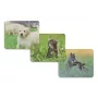 Hama Animal 4 portu USB 2.0 centrmezgls ar USB-C savienotāju, brūns/balts suņa dizains
