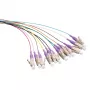 LogiLink LC OM4 optisko šķiedru pigtail komplekts, 12x 2m, 0.9mm, Aqua