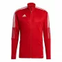 adidas Tiro 21 vīriešu treniņu sporta krekls sarkanā krāsā GM7308 S