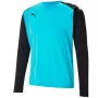 Puma teamPACER GK LS Vīriešu Vārtsargu sporta krekliņš Zils-Melns XL