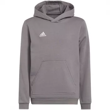 adidas Entrada 22 Hoody Bērnu sporta krekls Pelēks 116 cm