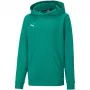 PUMA teamGOAL 23 Casuals Hoody Jr sporta krekls ar kapuci, meža zaļš, 128