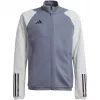 adidas Tiro 23 Competition treniņsviedraklis Team Grey 2/Melns vīriešu slim fit