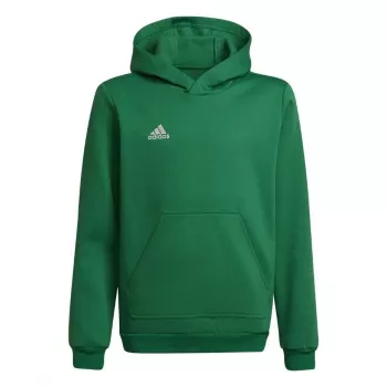 adidas Entrada 22 Hoody bērnu sporta krekls ar kapuci, zaļš, 116cm