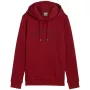 PUMA vīriešu Essentials+ Logo LAB kapuce FL bordo L izmērs