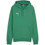 PUMA Team Goal Casuals Hoody Forest Night vīriešu M izmērs