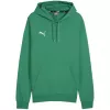 PUMA Team Goal Casuals Hoody vīriešu Pepper Green flīsa džemperis