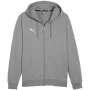 PUMA Team Goal Casuals kapuces sporta krekls pelēks