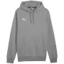 PUMA Team Goal Casuals Hoody vidēji pelēks heather vīriešu M