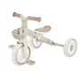 Tribike mācību tricikls 2-in-1 Plus 737-466