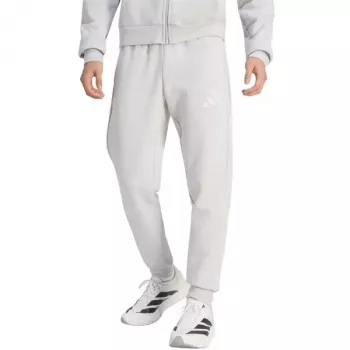 adidas Entrada 26 vīriešu sporta bikses, pelēkas, S izmērs (JZ9139)