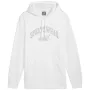 PUMA ESS+ Logo LAB Gradient jaka ar kapuci FL Puma White Medium