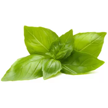 Click & Grow citronu baziliku augu kapsulas Smart Garden dārzam, 3 gab. (SGR76X3)