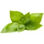 Click & Grow citronu baziliku augu kapsulas Smart Garden dārzam, 3 gab. (SGR76X3)