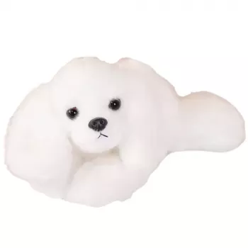 LEAN TOYS Plīša Maltas suns ar svērtām ķepām Balts 30cm