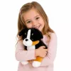LEAN TOYS Plīša mīkstais suns apskaužamais mīkstais rotaļlieta Bernes ganu suns 30x30 cm