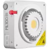 Godox ML100 Bi-color Kit 2 - 100W LED monolight ar softbox, statīvu, reflektoru un somu