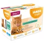 IAMS Delights Senior Land & Sea Collection in Gravy – mitrais kaķu barības komplekts – 12x85g