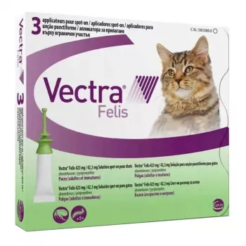 Ceva Vectra Felis Spot-On blusu ārstēšana kaķiem – 3 pipetes