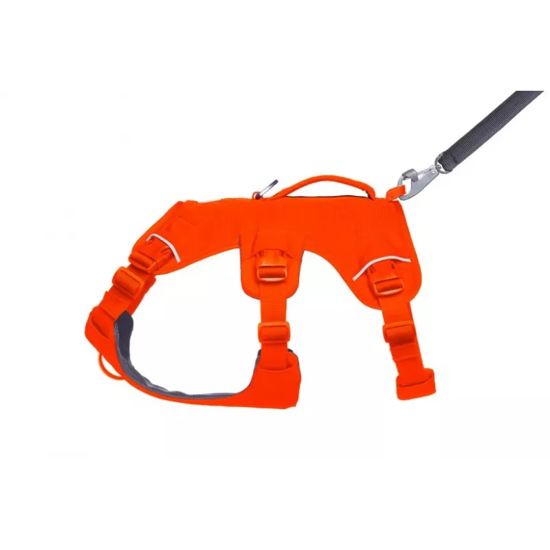 Ruffwear Web Master daudzfunkcionālā atbalsta suņu iejūga, Blaze Orange, M izmērs