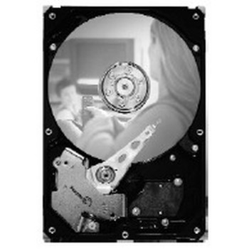 SEAGATE 250GB 3,5 ST3250820SCE SATA