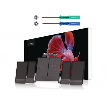 2-power galvenais akumulatora bloks (2P-020-02497)