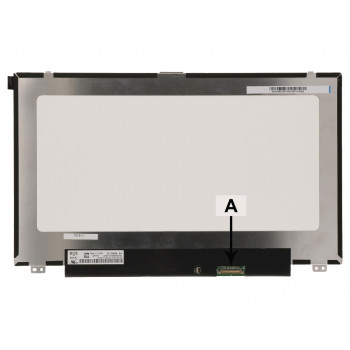 2-power 12,5 collu HD LED AG IPS matēts Dell 9X5G1 (2P-NT125WHM-N42)