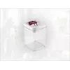 LEIFHEIT Fresh&Easy hermētisks pārtikas uzglabāšanas trauks 1,6L, bez BPA, caurspīdīgs ar zaļu vāku