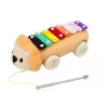 LEAN TOYS Lauvas šķīvji uz riteņiem velkamais mūzikas rotaļlieta mazuļiem, krāsains izglītojošs instruments