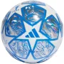 adidas UCL treniņu futbola bumba balta & sudraba IN9326 5
