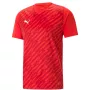 Vīriešu T-krekls Puma teamULTIMATE sarkans 705371 01 M