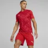 Vīriešu T-krekls Puma teamULTIMATE sarkans 705371 01 M