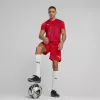 Vīriešu T-krekls Puma teamULTIMATE sarkans 705371 01 M