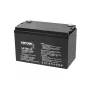 VIPOW gēla akumulators 12V 100Ah