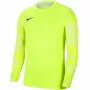 Nike Dry Park IV JSY LS GK Junior laima vārtsarga džemperis CJ6072 702 XS