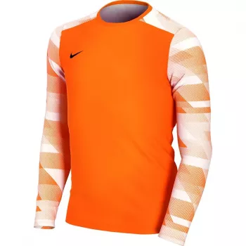 Nike Dry Park IV JSY LS GK Junior vārtsarga džemperis oranžs CJ6072 819 L