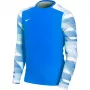 Nike Dry Park IV JSY LS GK Junior vārtsarga džemperis Royal Blue CJ6072 463 XL