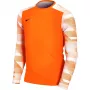 Nike Dry Park IV JSY LS GK Junior vārtsarga džemperis oranžs CJ6072 819 S