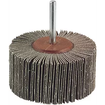 Wolfcraft 2037000 lapiņu slīpdisks, 20 mm diametrs