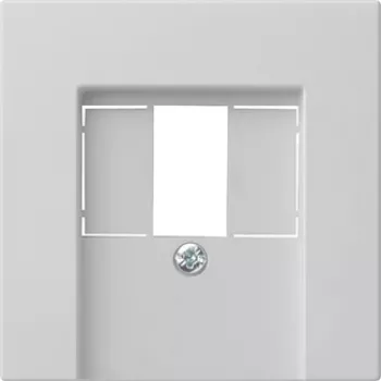 Gira System 55 pārsega plāksne TAE un USB, pelēka 0276015