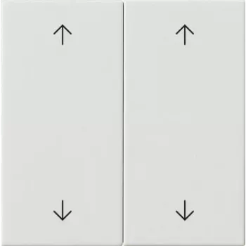 Gira pārslēga taustiņš 2-gang Pure White 538703