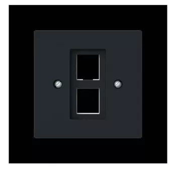 Busch-Jaeger centrālā plāksne ar atbalsta gredzenu modulārajai ligzdai 2561-02-45M 2CKA001753A9929
