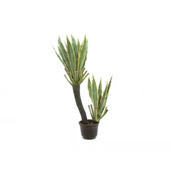EUROPALMS mākslīgais orhideju kaktuss, 160cm 82809035
