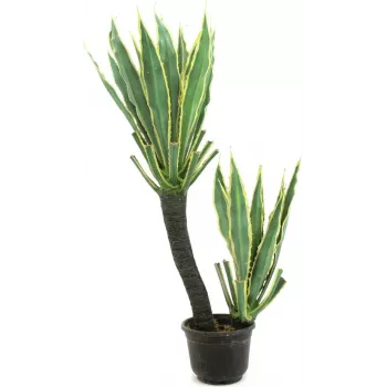 EUROPALMS mākslīgais orhideju kaktuss, 160cm 82809035